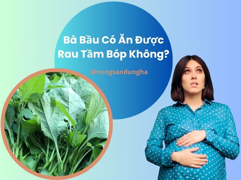 ba-bau-co-an-duoc-rau-tam-bop-khong
