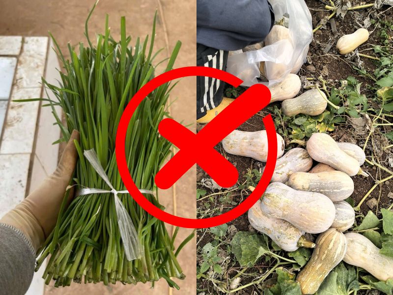 ban-khoan-la-he-ky-voi-gi