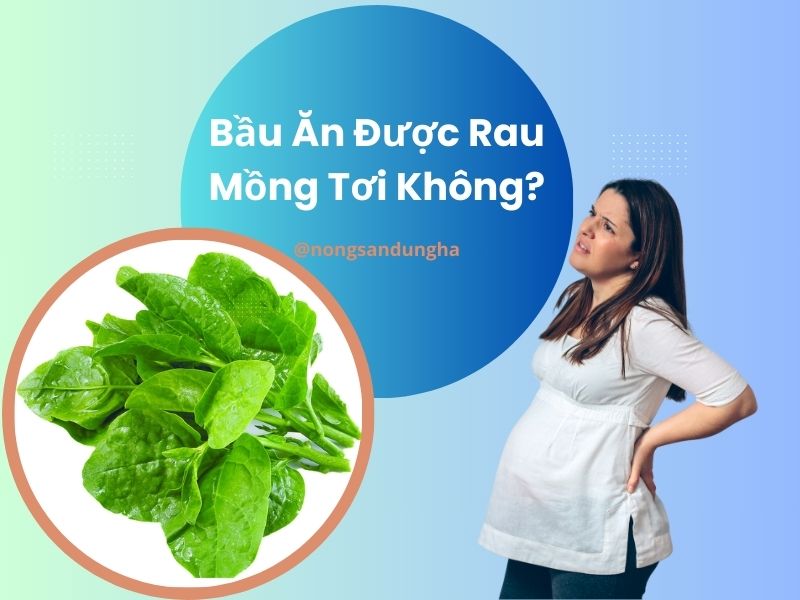 bau-an-duoc-rau-mong-toi-khong