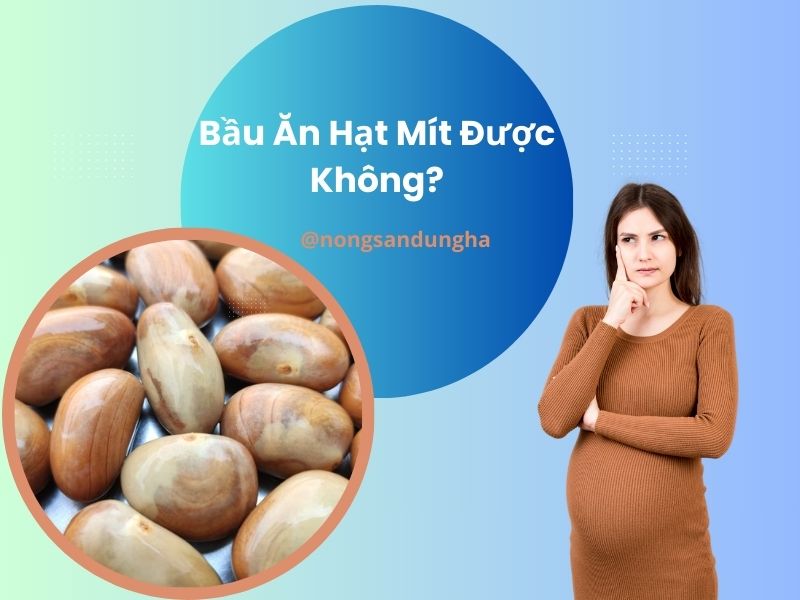 bau-an-hat-mit-duoc-khong