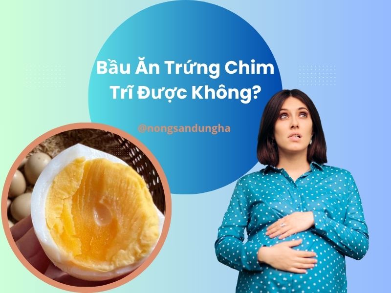 bau-an-trung-chim-tri-duoc-khong