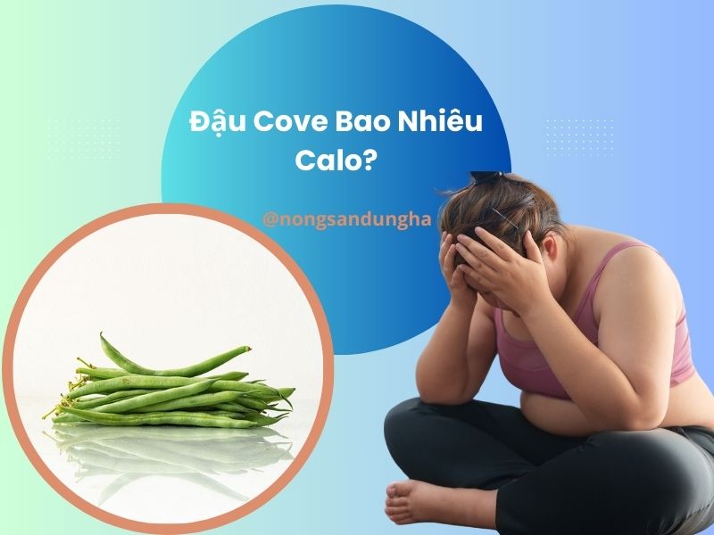 dau-cove-bao-nhieu-calo
