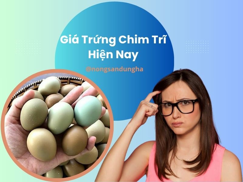 gia-trung-chim-tri