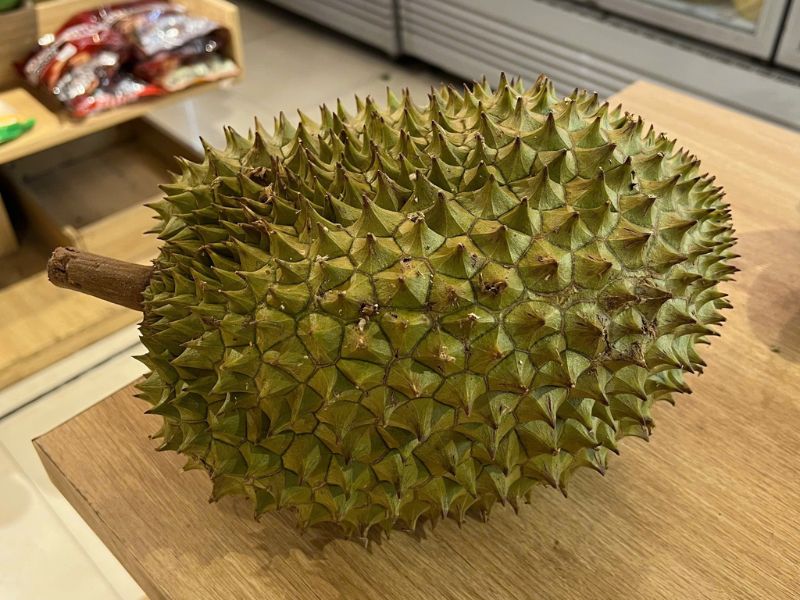 giai-dap-hat-sau-rieng-co-an-duoc-khong