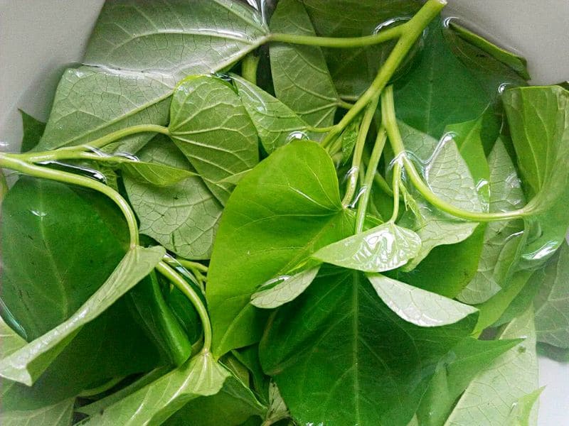giai-thich-ba-bau-an-rau-lang-duoc-khong