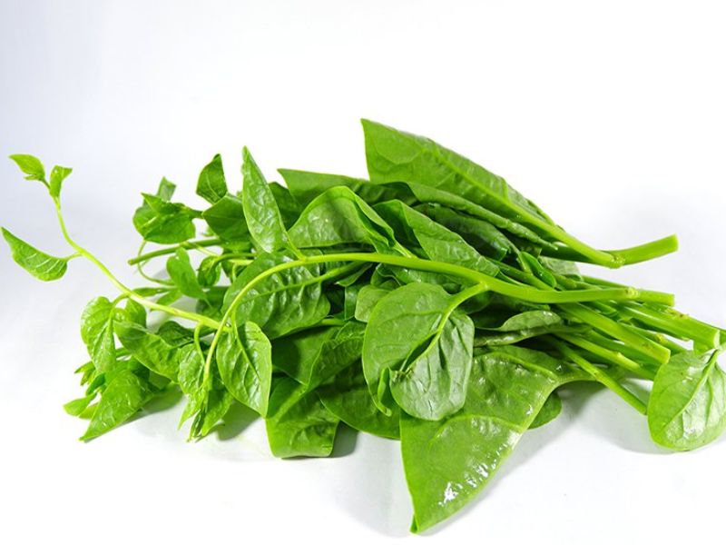 hoi-dap-ba-bau-an-duoc-rau-mong-toi-khong