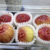 qua-sung-my-bao-nhieu-tien-1kg