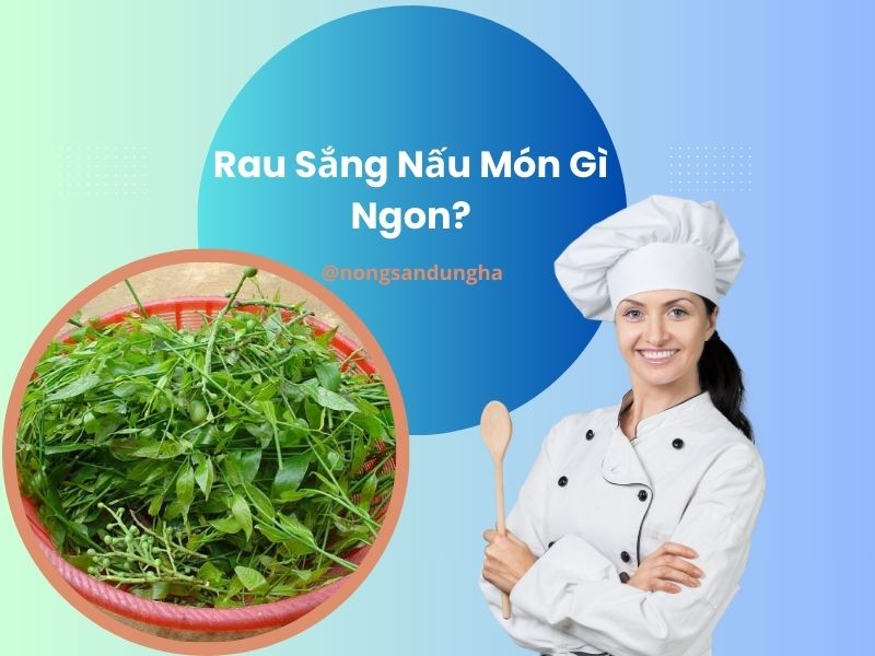 rau-sang-nau-mon-gi-ngon