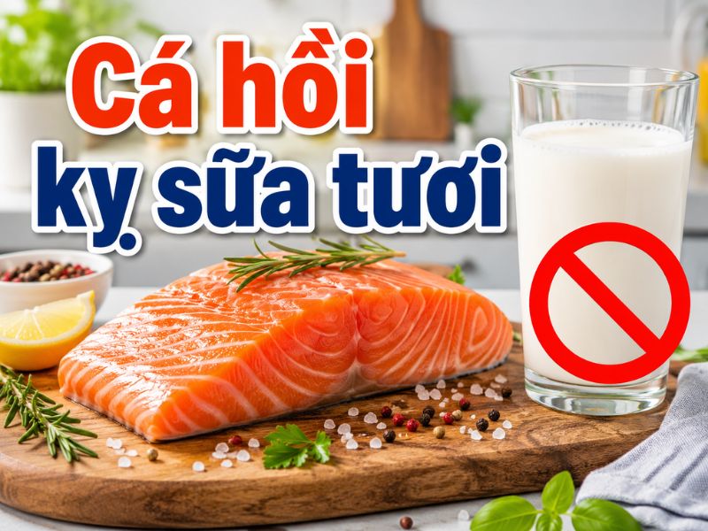 tim-hieu-ca-hoi-ky-voi-gi.jpg