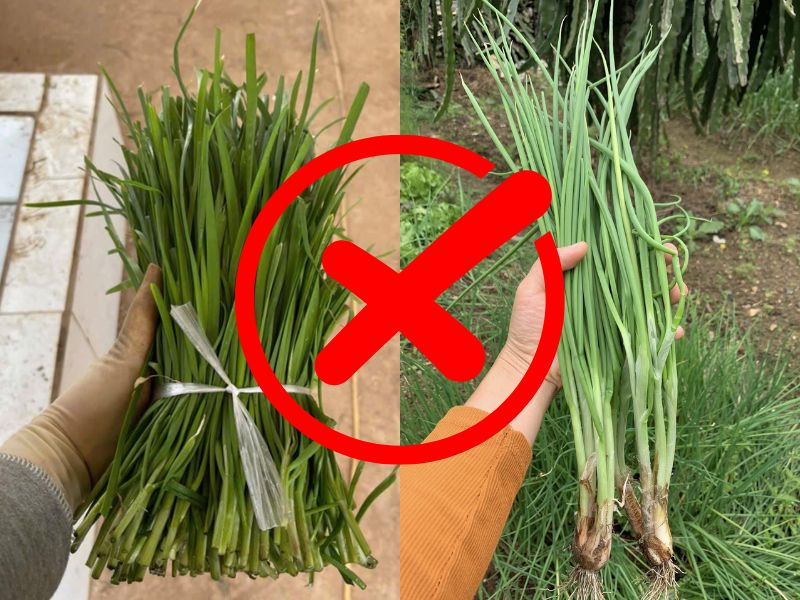 tim-hieu-la-he-ky-voi-gi