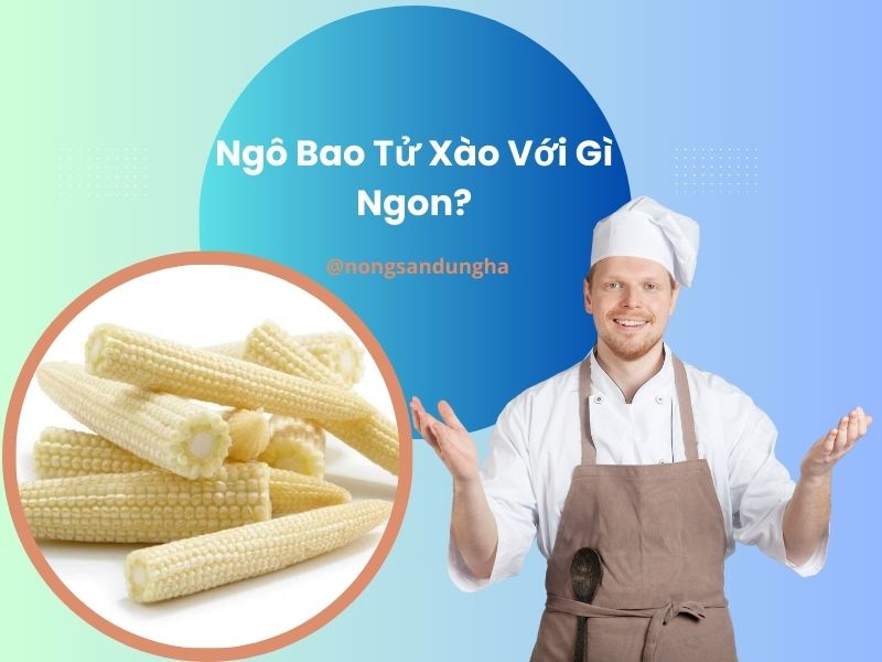 tim-hieu-ngo-bao-tu-xao-voi-gi-ngon