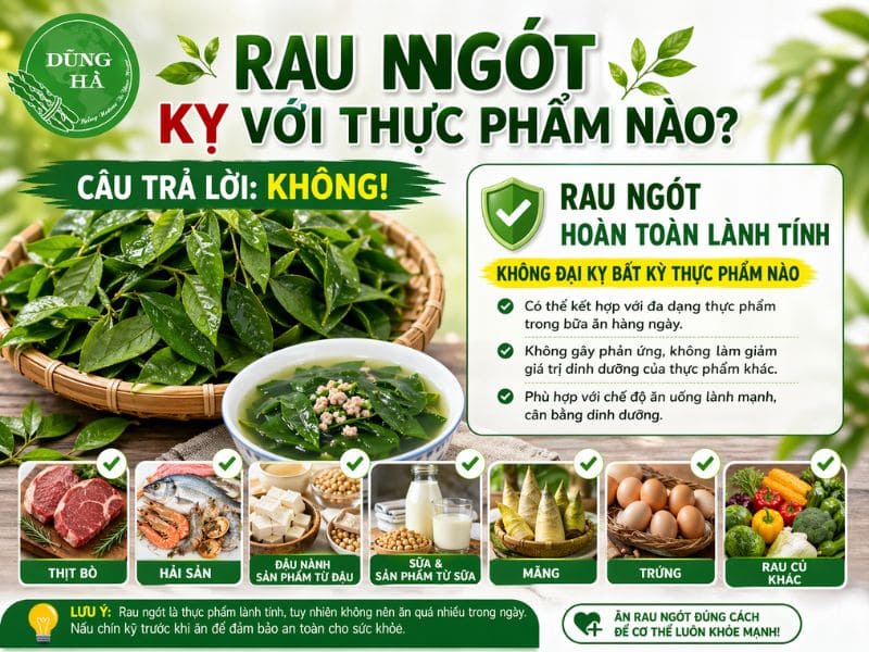 tim-hieu-rau-ngot-ky-voi-thuc-pham-nao.jpg