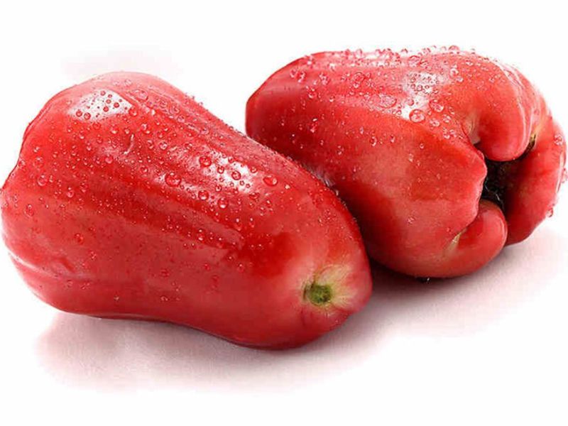 tra-loi-sau-sinh-co-an-duoc-qua-roi-khong