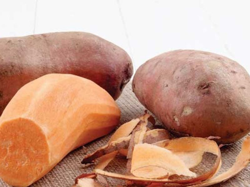 tra-loi-vo-khoai-lang-co-an-duoc-khong