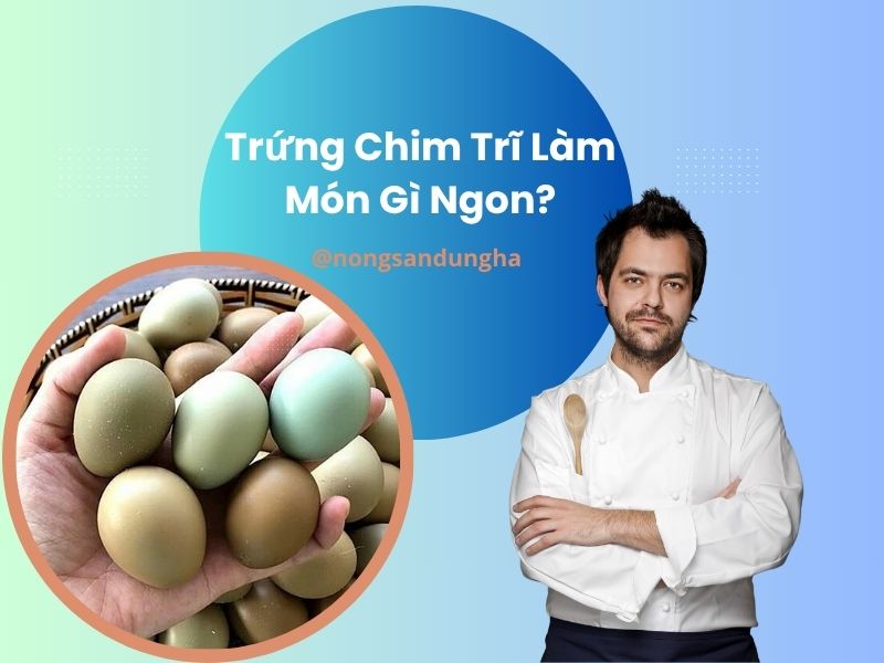 trung-chim-tri-lam-mon-gi-ngon