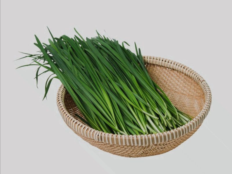 xem-ngay-la-he-ky-voi-gi