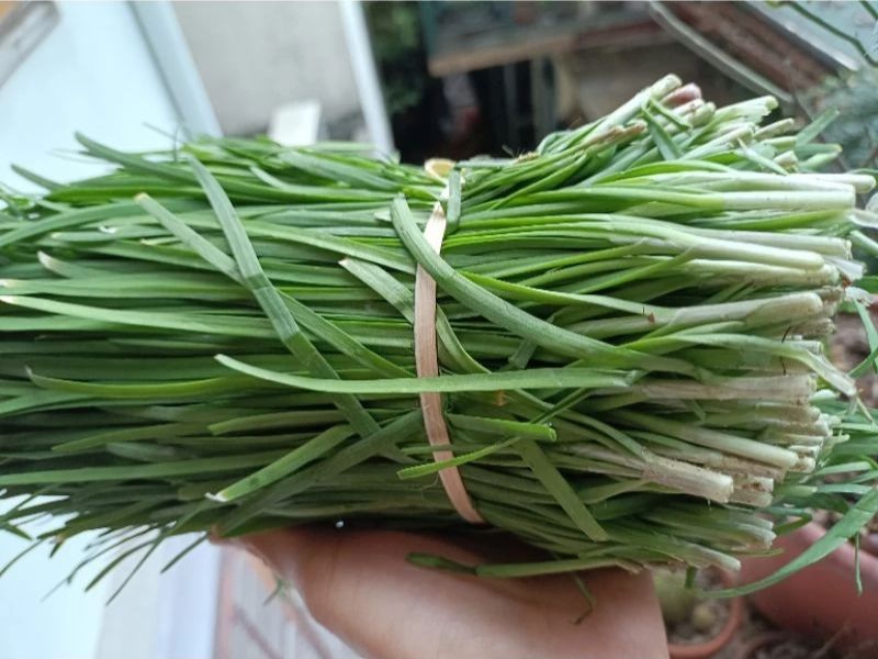 xem-them-la-he-ky-voi-gi