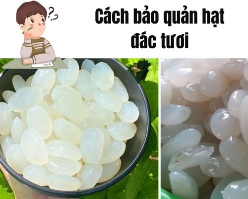 Cach-bao-quan-hat-dac-tuoi