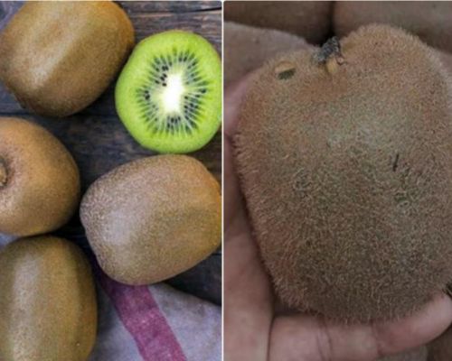Cach-chon-mua-kiwi-ngon