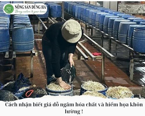 gia-do-ngam-hoa-chat