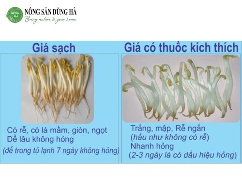 Phan-biet-hinh-dang-gia-do