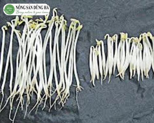 Phan-biet-mui-vi-gia-do