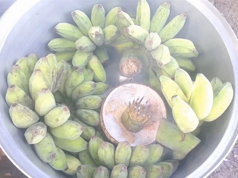 Cach-u-chuoi-bang-huong