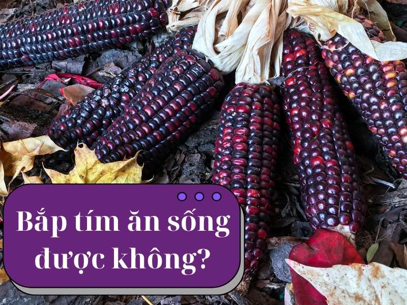 bap-tim-an-song-duoc-khong