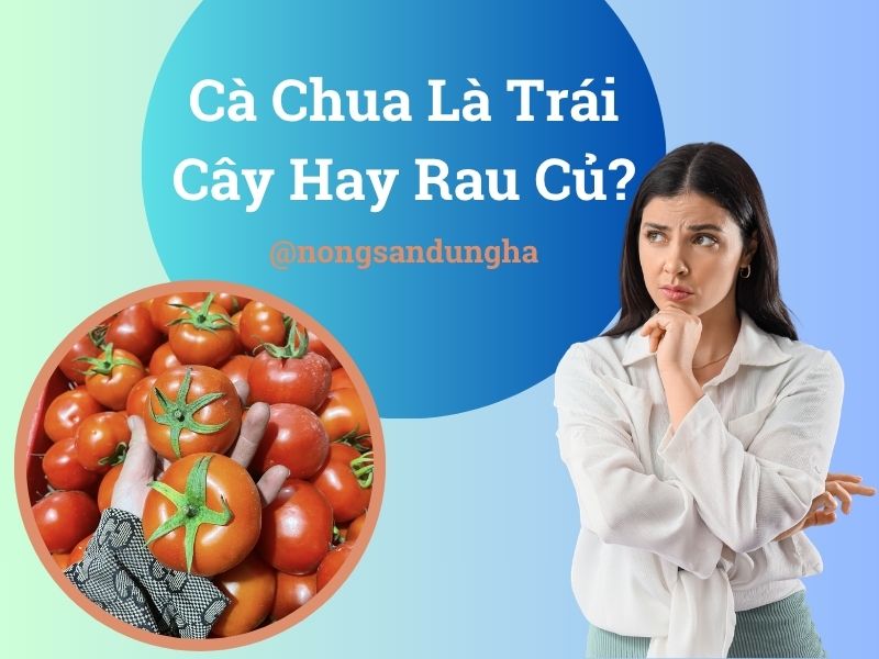 Cà chua là trái cây hay rau củ, sự thật ít người biết?