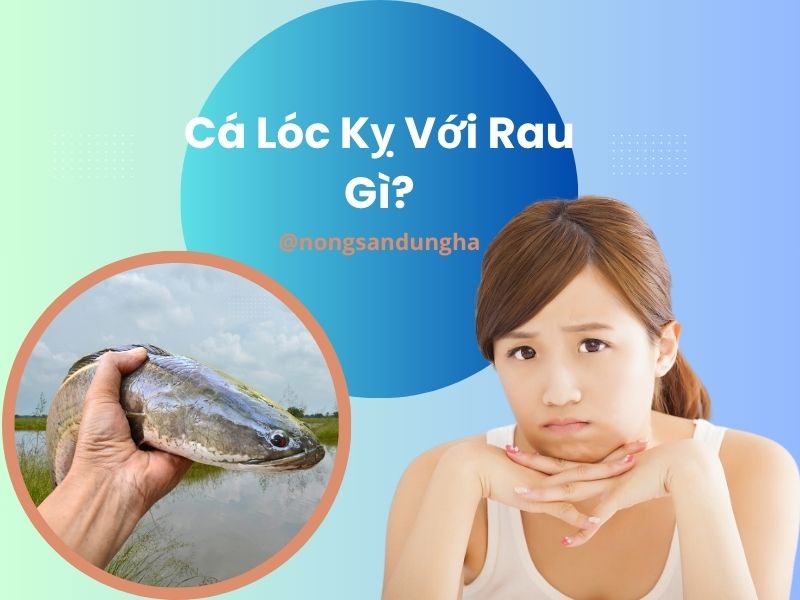 ca-loc-ky-voi-rau-gi
