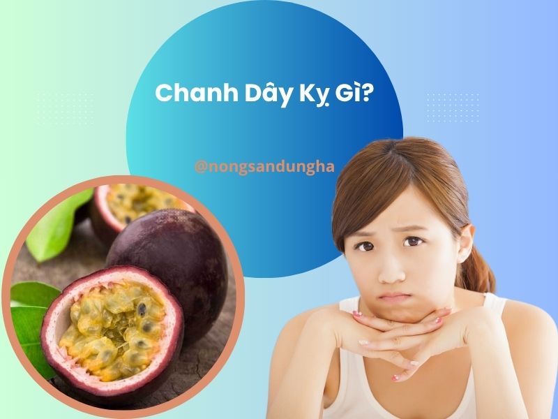 chanh-day-ky-gi