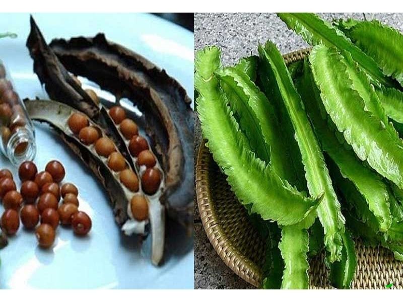 chia-se-dau-rong-trong-thang-may