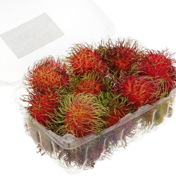 chom-chom-thai