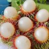 chom-chom-thai-dung-ha-gia-tot