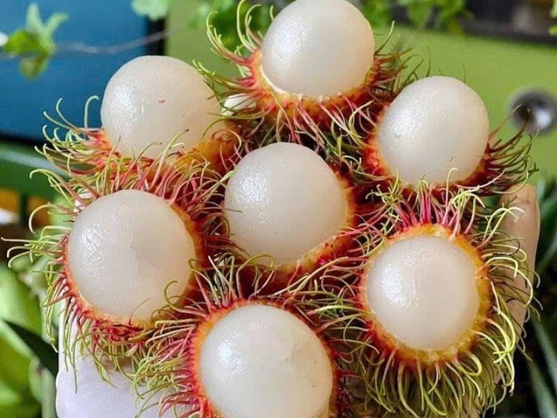 chom-chom-thai-dung-ha-gia-tot