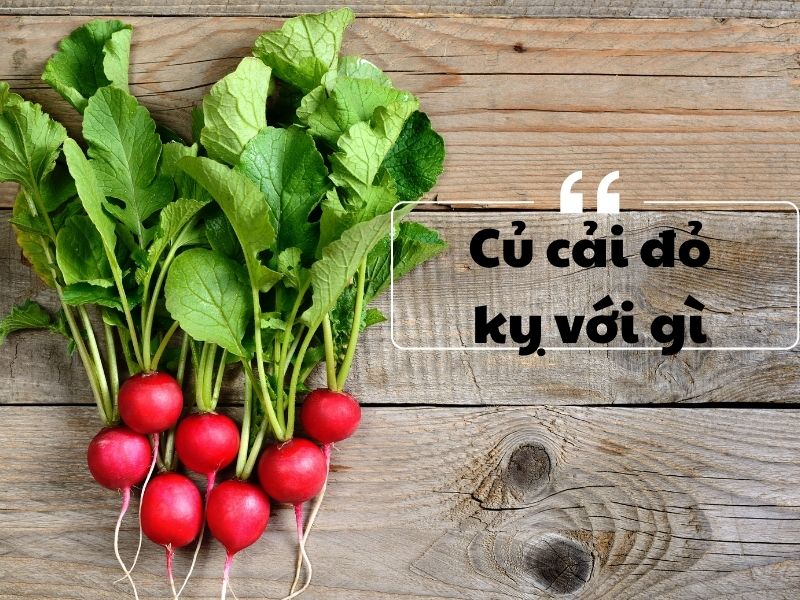 cu-cai-do-ky-voi-gi
