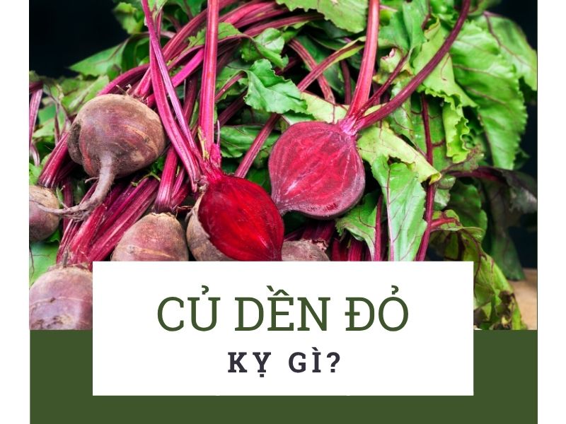 cu-den-do-ky-gi