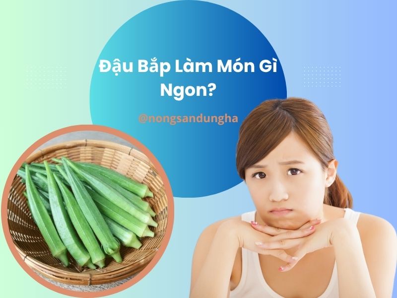 dau-bap-lam-mon-gi