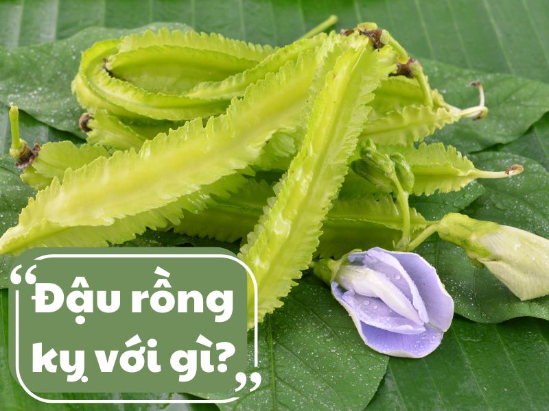 dau-rong-ky-voi-gi