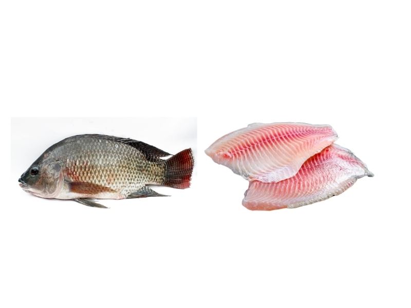 giai-dap-ca-ro-phi-an-co-tot-khong