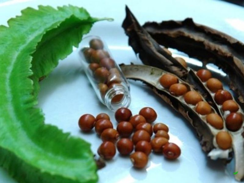 giai-dap-dau-rong-trong-thang-may