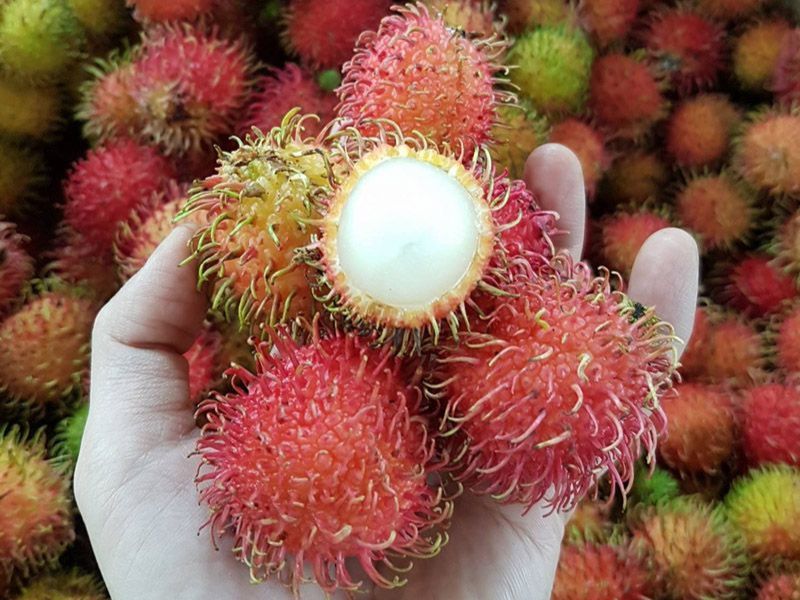 goc-thac-mac-sau-sinh-an-chom-chom-duoc-khong