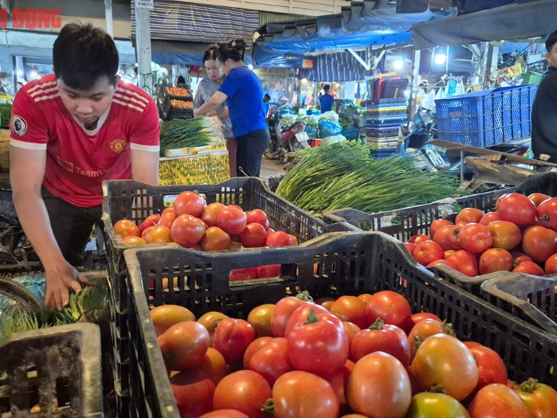 goc-tim-hieu-ca-chua-la-trai-cay-hay-rau-cu