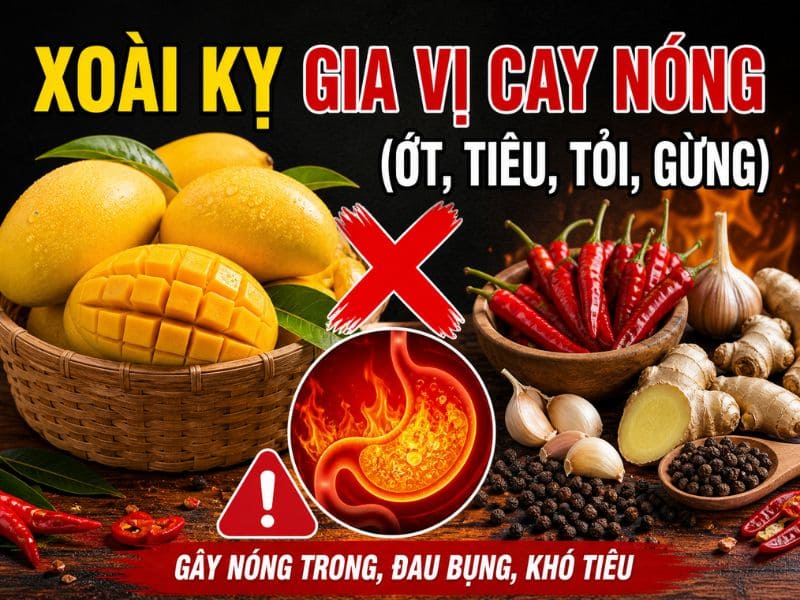 goc-tim-hieu-xoai-ky-voi-gi.jpg