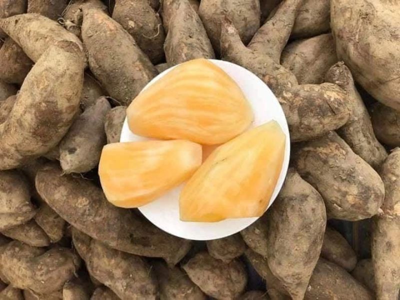 goc-tra-loi-khoai-sam-dat-luoc-duoc-khong