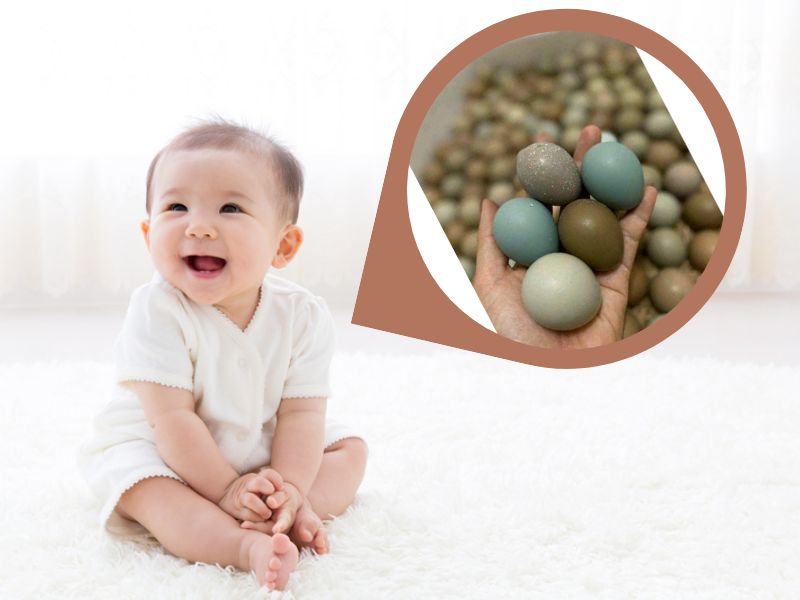 kham-pha-tac-dung-cua-trung-chim-tri-voi-tre-em