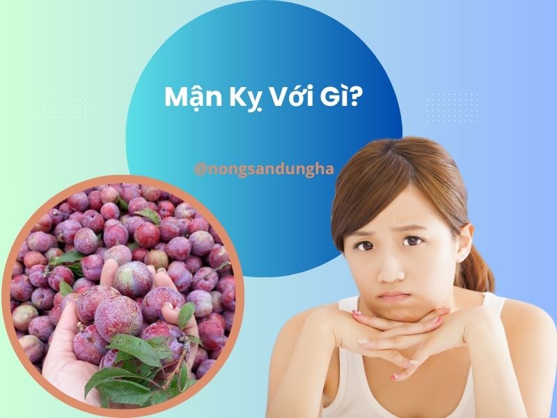 man-ky-voi-gi