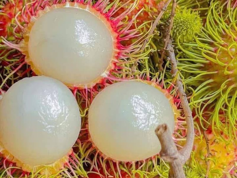 me-sau-sinh-an-chom-chom-duoc-khong