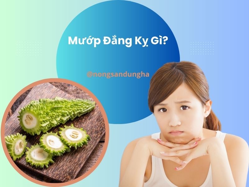 muop-dang-ky-gi-ban-co-biet