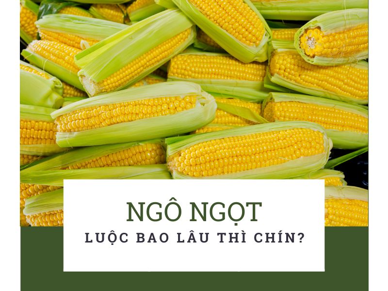 ngo-ngot-luoc-bao-lau-thi-chin